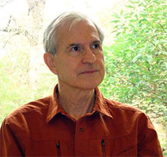 Brain&rsquo;s big picture of short-term visual memory