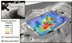 Where did all the oil go?