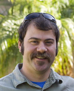 Bread mold&rsquo;s half-billion-year family tree