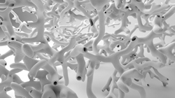 Art and science symposium