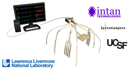 Networking your brain