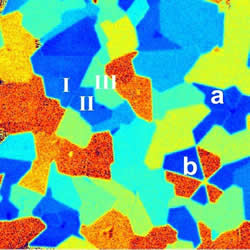 Edgy look at 2D molybdenum disulfide