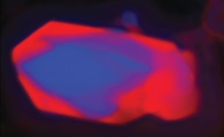 Ready for the nanoscope?