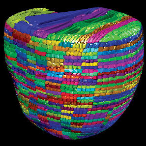 Lecture explains the cardioid project