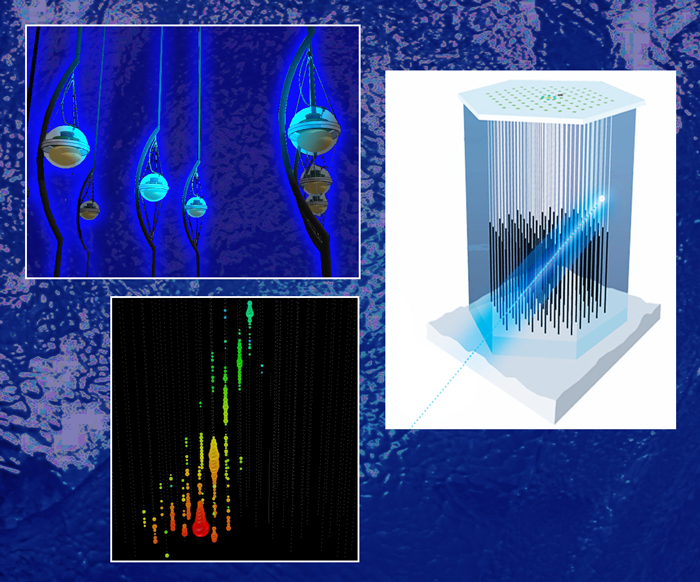 Cosmic Rays w/ IceCube