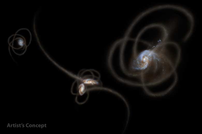 Galaxy halos are produced by orphan stars